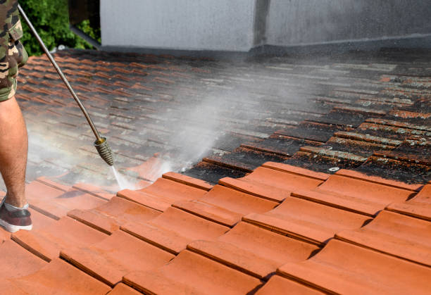 Best Deck Pressure Washing  in Ridgewood, NJ