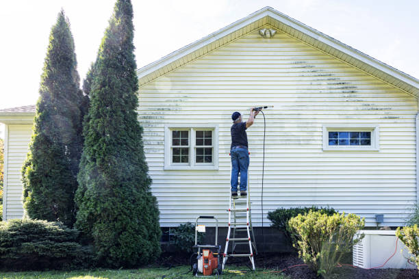 Best Roof Pressure Washing  in Ridgewood, NJ